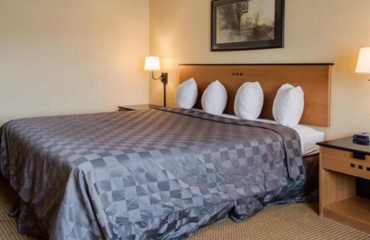 Suburban Studios Chester I-95 Екстериор снимка